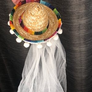 Bachelorette Veil Final Fiesta